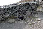 PICTURES/Dingle Peninsula - Cashel Murphy & Cathair Deargain Fort/t_DSC05350.JPG